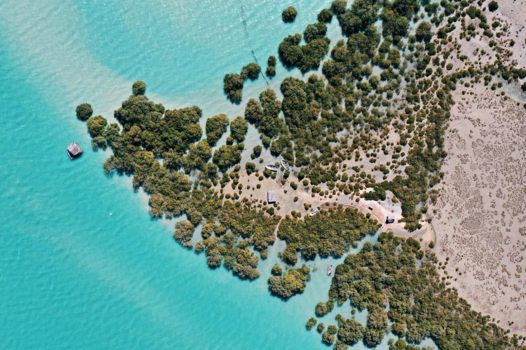 تصویر هوایی از جزیره مردو در جنگل های حرا بندر خمیر