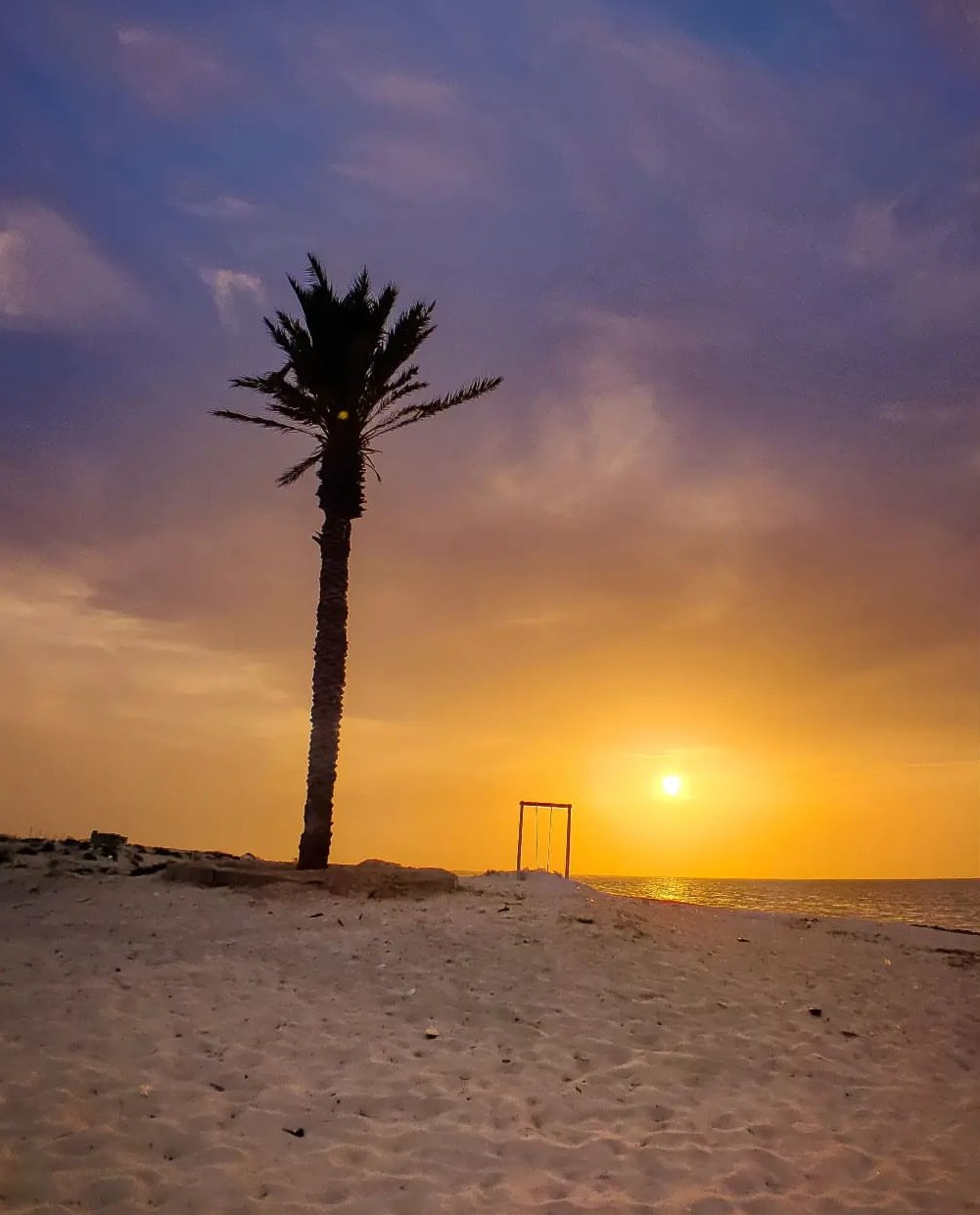 عکس/ساحل خلیج هاله در بوشهر